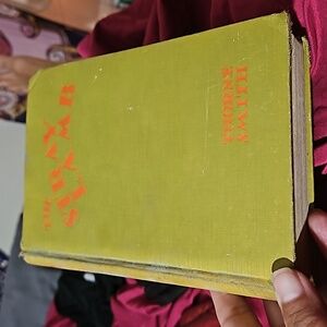 1929 1st printing The stray Lamb by Thorne Smith Antique